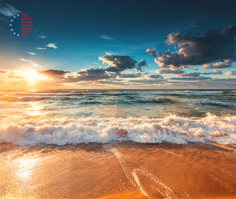 Calma en medio del cambio: una cápsula de tranquilidad para inmigrantes en EE. UU.